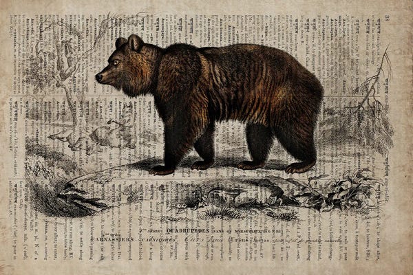 Grizzly Bears: Dictionnaire Universel Bear by FisherCraft