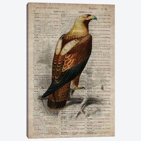 Dictionnaire Universel Eagle Canvas Print #FHC331} by FisherCraft Canvas Print