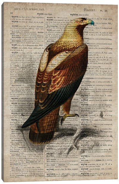 Dictionnaire Universel Eagle Canvas Art Print - Eagle Art