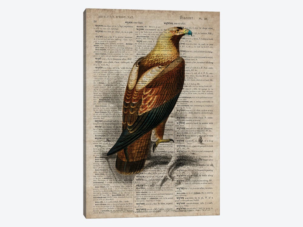 Dictionnaire Universel Eagle by FisherCraft 1-piece Canvas Wall Art