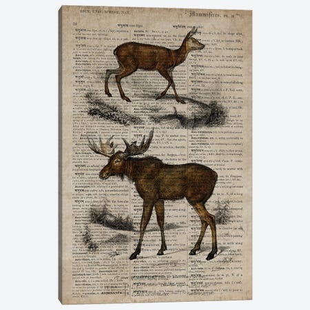 Dictionnaire Universel Moose Canvas Print #FHC332} by FisherCraft Art Print