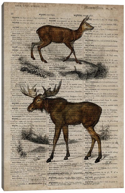 Dictionnaire Universel Moose Canvas Art Print - FisherCraft