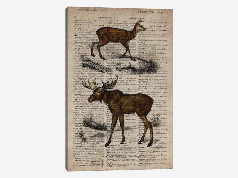 Dictionnaire Universel Moose by FisherCraft 1-piece Art Print