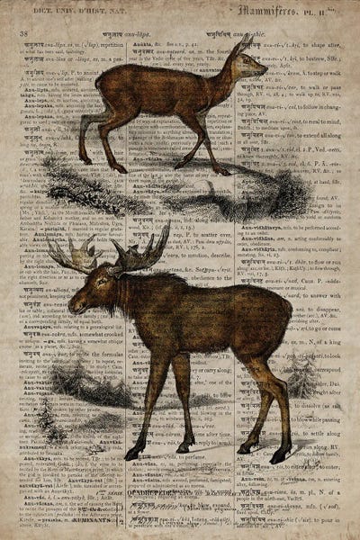Moose: Dictionnaire Universel Moose by FisherCraft
