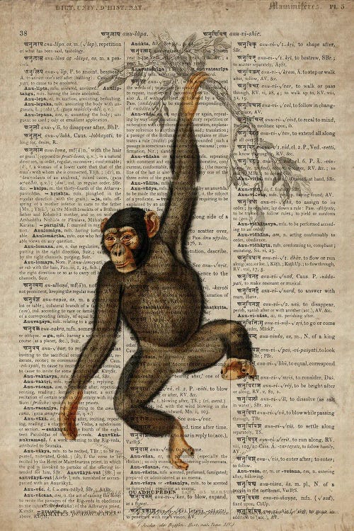 Dictionnaire Universel Chimp