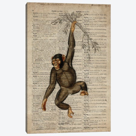 Dictionnaire Universel Chimp Canvas Print #FHC333} by FisherCraft Canvas Art Print