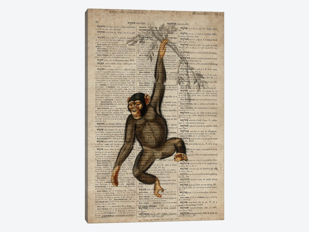 Dictionnaire Universel Chimp by FisherCraft 1-piece Canvas Wall Art