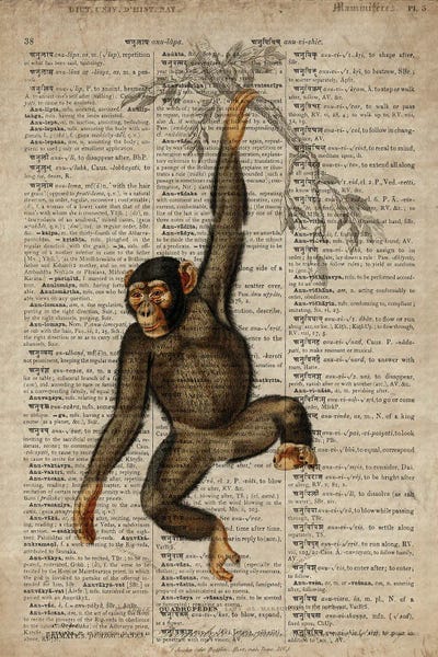 Vintage Animal Illustrations: Dictionnaire Universel Chimp by FisherCraft