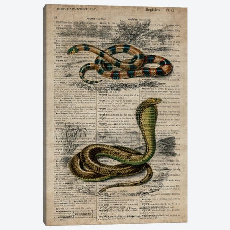 Dictionnaire Universel Snakes Canvas Print #FHC334} by FisherCraft Canvas Art