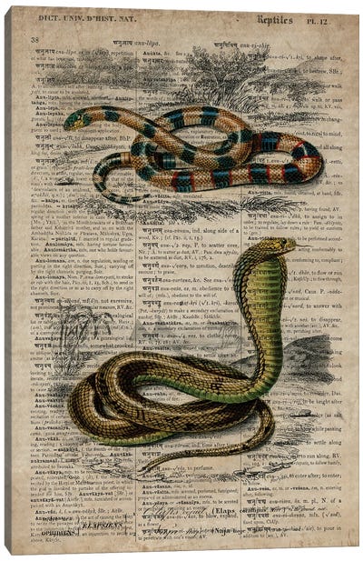 Dictionnaire Universel Snakes Canvas Art Print - Dark Academia