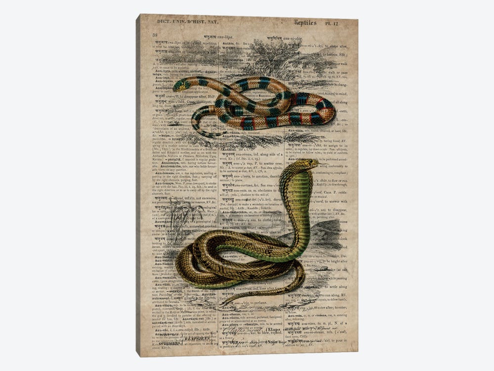 Dictionnaire Universel Snakes by FisherCraft 1-piece Art Print