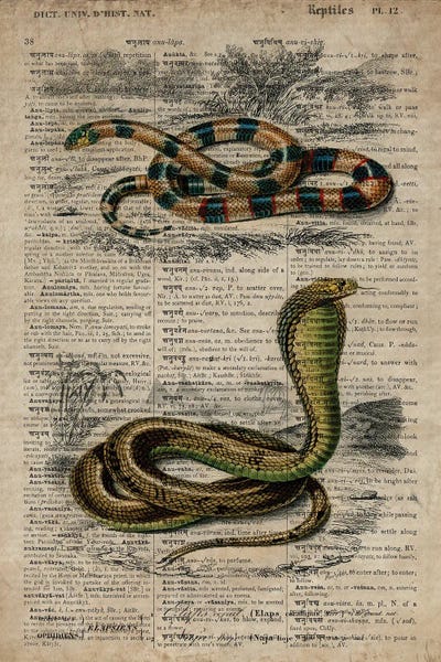 Snakes: Dictionnaire Universel Snakes by FisherCraft