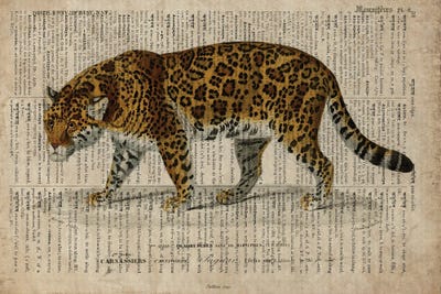 Dictionnaire Universel Leopard by FisherCraft art print