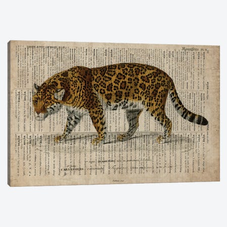 Dictionnaire Universel Leopard Canvas Print #FHC335} by FisherCraft Canvas Artwork