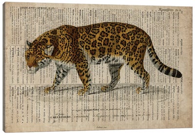 Dictionnaire Universel Leopard Canvas Art Print - FisherCraft