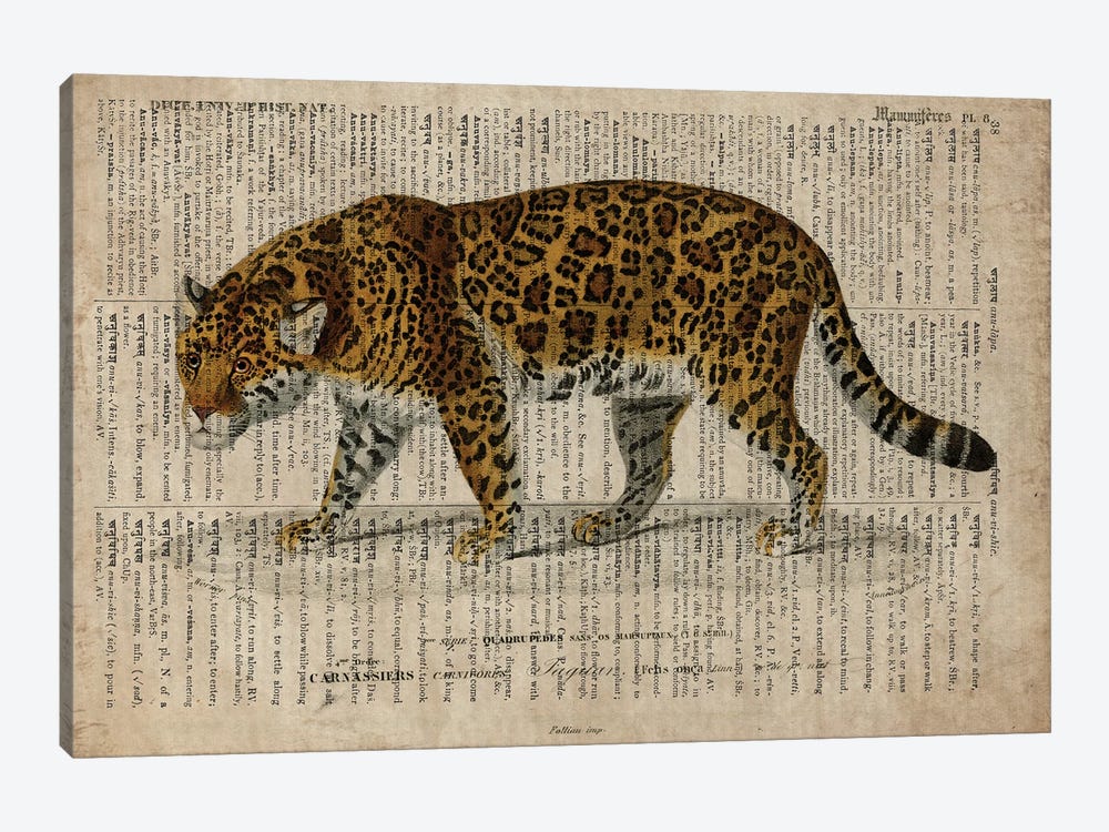 Dictionnaire Universel Leopard by FisherCraft 1-piece Canvas Artwork