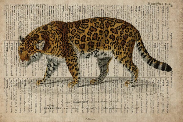 Leopards: Dictionnaire Universel Leopard by FisherCraft