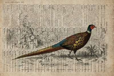 Dictionnaire Universel Pheasant by FisherCraft canvas print
