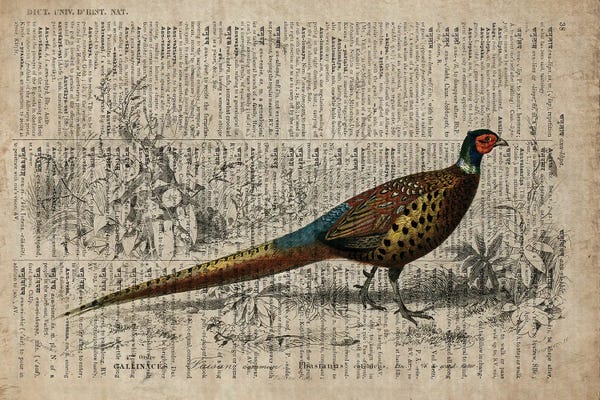 FisherCraft: Dictionnaire Universel Pheasant by FisherCraft