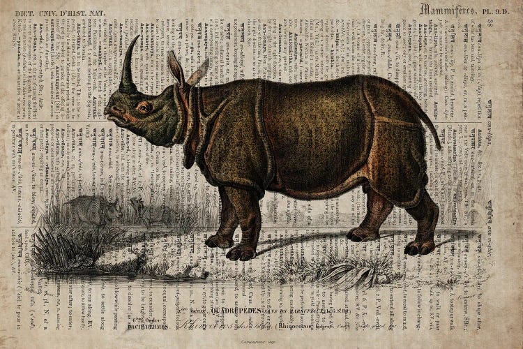 Dictionnaire Universel Rhino