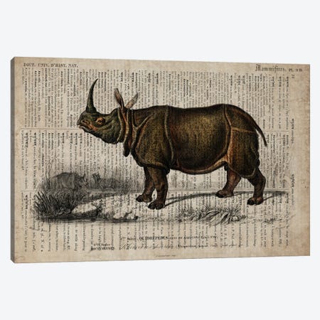 Dictionnaire Universel Rhino Canvas Print #FHC338} by FisherCraft Canvas Art Print