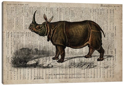 Dictionnaire Universel Rhino Canvas Art Print - Rhinoceros Art