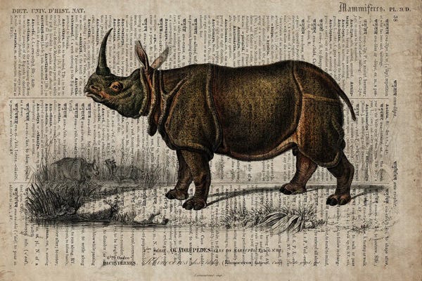 Rhinoceroses: Dictionnaire Universel Rhino by FisherCraft