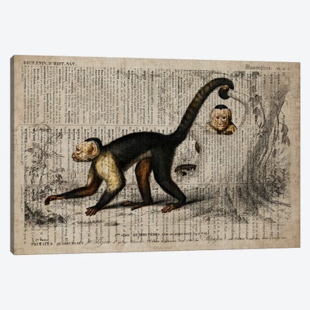 Dictionnaire Universel Monkey Canvas Print #FHC339} by FisherCraft Canvas Print