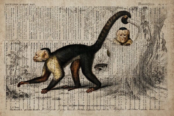 Monkeys: Dictionnaire Universel Monkey by FisherCraft