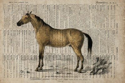 Dictionnaire Universel Horse by FisherCraft canvas print