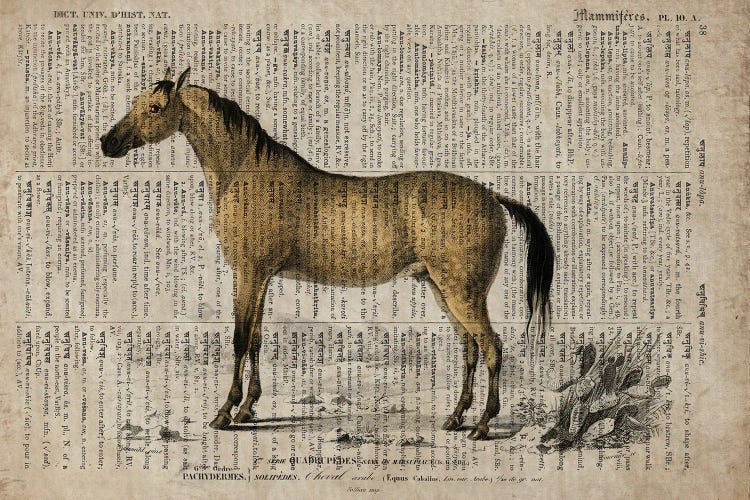 Dictionnaire Universel Horse by FisherCraft wall art
