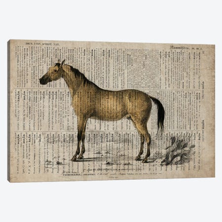 Dictionnaire Universel Horse Canvas Print #FHC340} by FisherCraft Canvas Wall Art