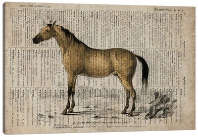 Dictionnaire Universel Horse Canvas Art Print - FisherCraft