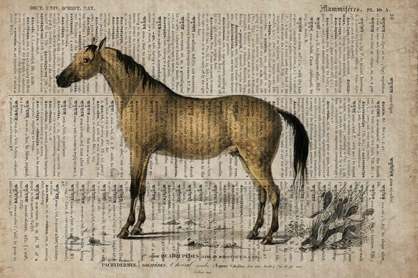 Vintage Animal Illustrations: Dictionnaire Universel Horse by FisherCraft