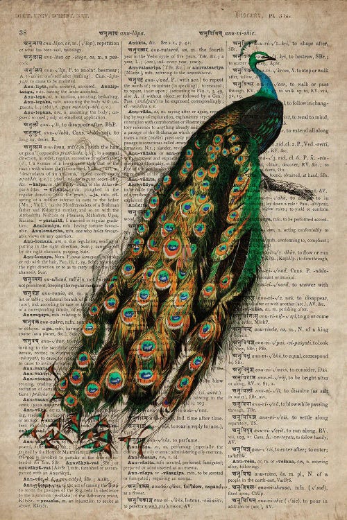 Dictionnaire Universel Peacock by FisherCraft wall art