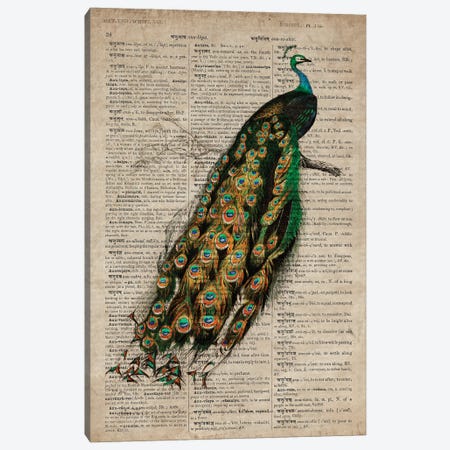 Dictionnaire Universel Peacock Canvas Print #FHC341} by FisherCraft Canvas Wall Art