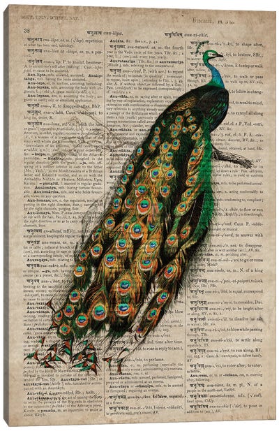 Dictionnaire Universel Peacock Canvas Art Print - FisherCraft