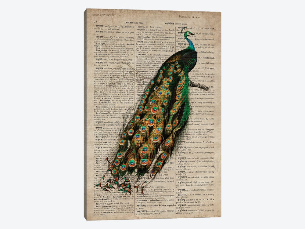 Dictionnaire Universel Peacock by FisherCraft 1-piece Canvas Print