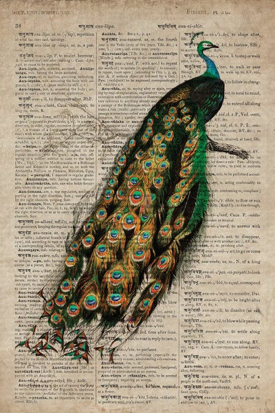 Vintage Animal Illustrations: Dictionnaire Universel Peacock by FisherCraft