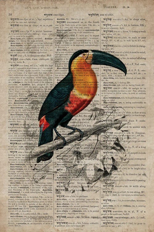 Dictionnaire Universel Toucan