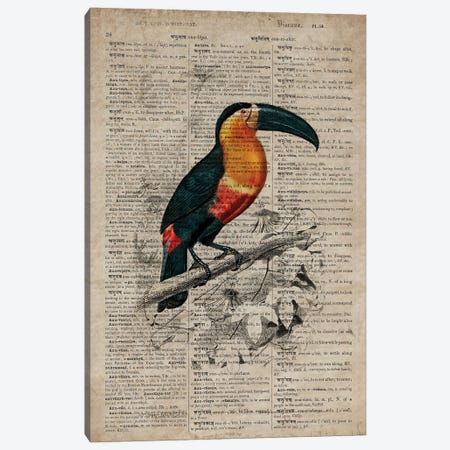 Dictionnaire Universel Toucan Canvas Print #FHC342} by FisherCraft Canvas Artwork