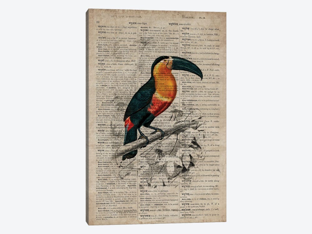 Dictionnaire Universel Toucan by FisherCraft 1-piece Canvas Art