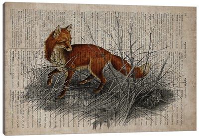 Dictionnaire Universel Fox Canvas Art Print - FisherCraft