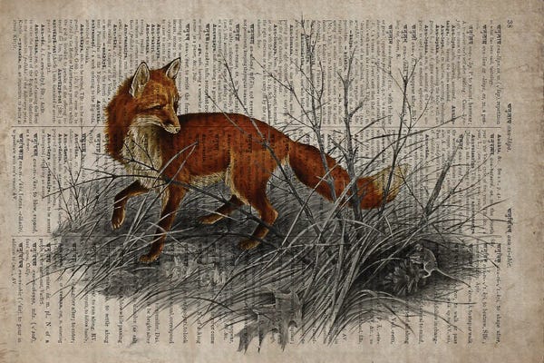 Vintage Animal Illustrations: Dictionnaire Universel Fox by FisherCraft
