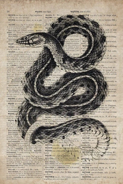 Dictionnaire Universel Rattle Snake