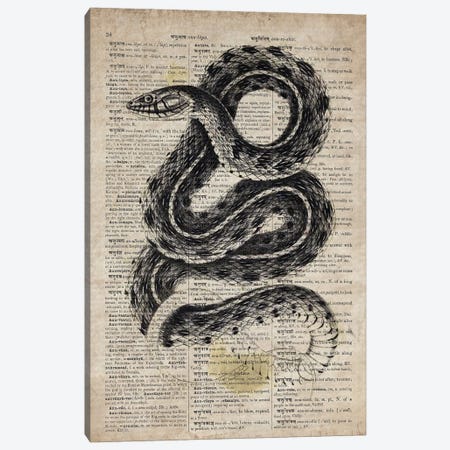 Dictionnaire Universel Rattle Snake Canvas Print #FHC344} by FisherCraft Canvas Art Print