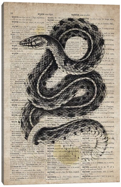 Dictionnaire Universel Rattle Snake Canvas Art Print - Dark Academia