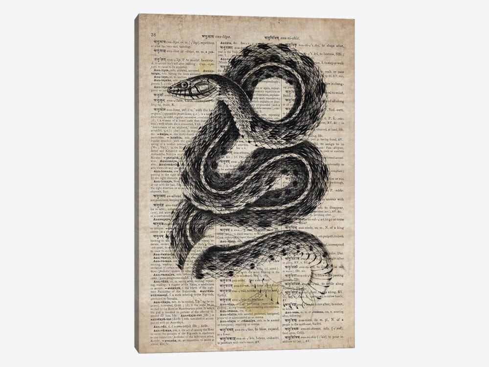 Dictionnaire Universel Rattle Snake by FisherCraft 1-piece Canvas Artwork