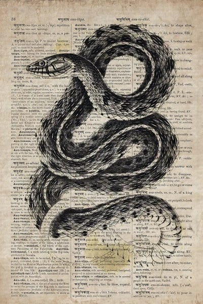 Snakes: Dictionnaire Universel Rattle Snake by FisherCraft