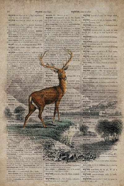 Dictionnaire Universel Stag by FisherCraft canvas print